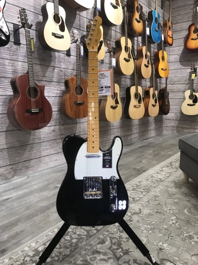 Fender - 011-3942-706